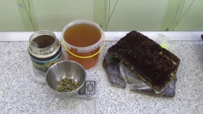 7 проверенных рецептов медовухи в домашних условиях
